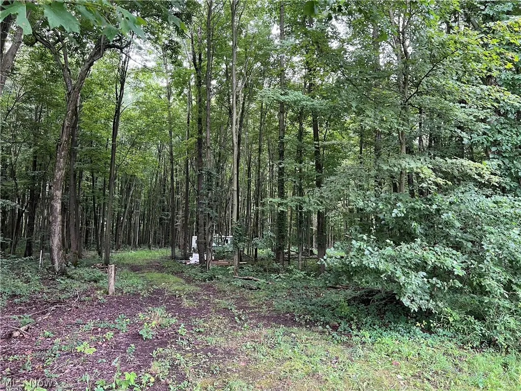 6124 Root Road, Conneaut, OH 44030 - #1