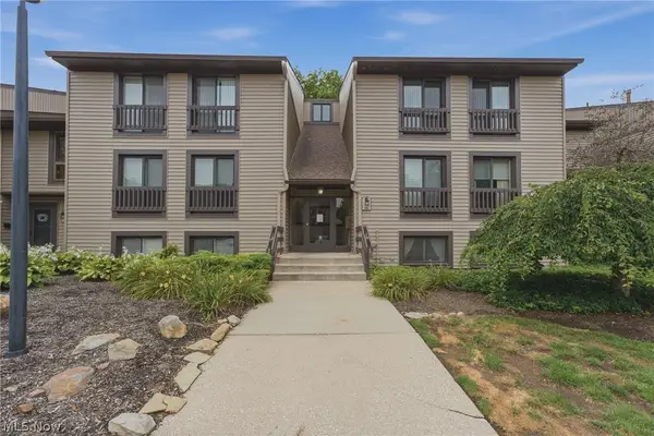 1105 Canyon View Road #502, Northfield, OH 44067