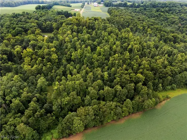 0 Township Road 252, Killbuck, OH 44637
