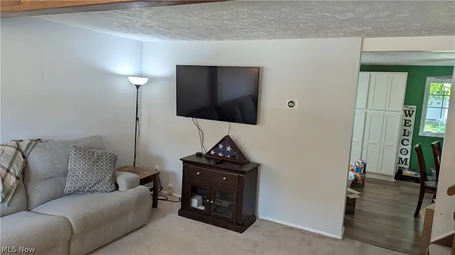 7376 Willow Run Drive, Mentor, OH 44060 - #2
