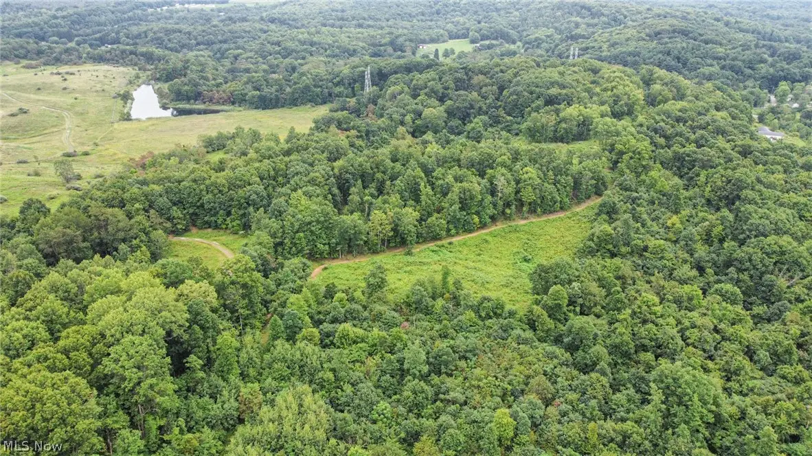43998 Hammond School Road, Wellsville, OH 43968 - #1
