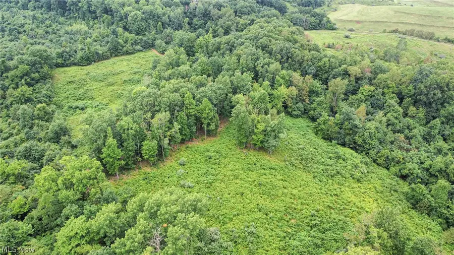 43998 Hammond School Road, Wellsville, OH 43968 - #2