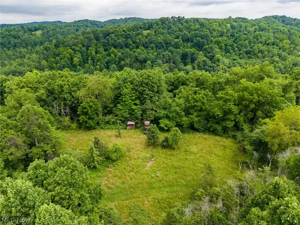 Sheepskin Road, Lower Salem, OH 45745