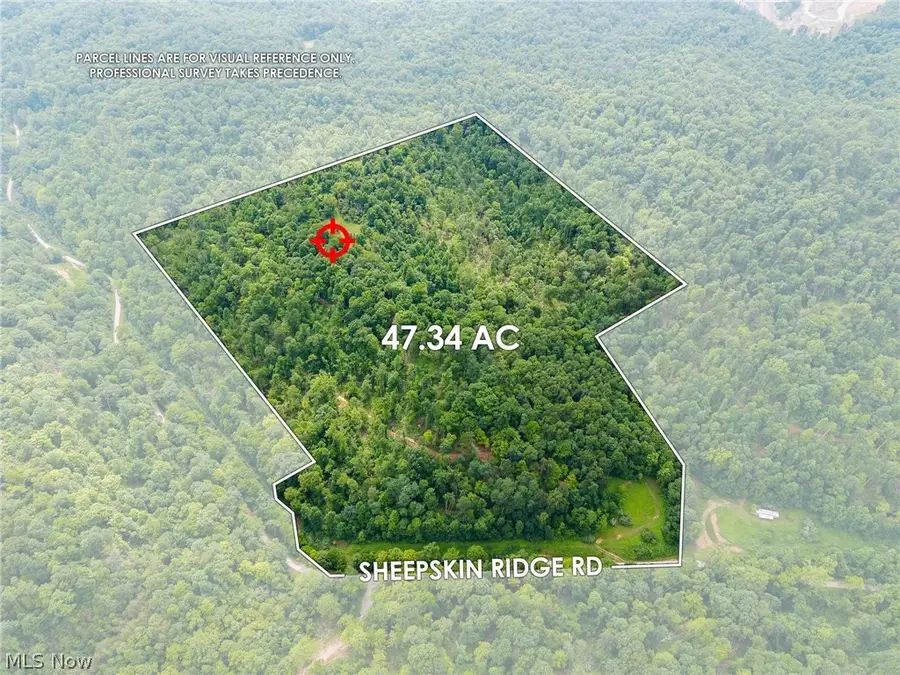 Sheepskin Road, Lower Salem, OH 45745 - #3