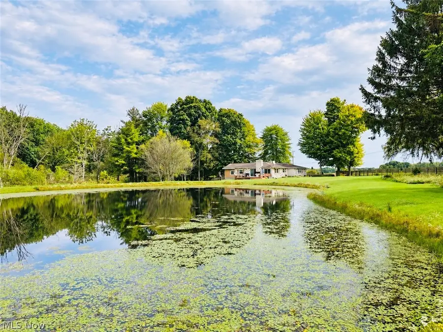 3699 S Denmark Road, Dorset, OH 44032 - #2