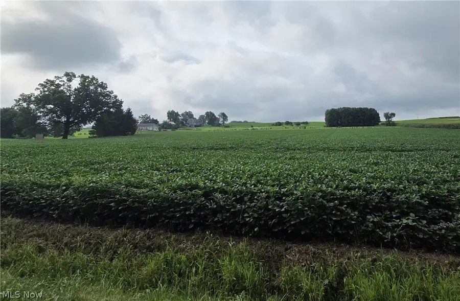 Goudy Road, Orrville, OH 44667 - #2