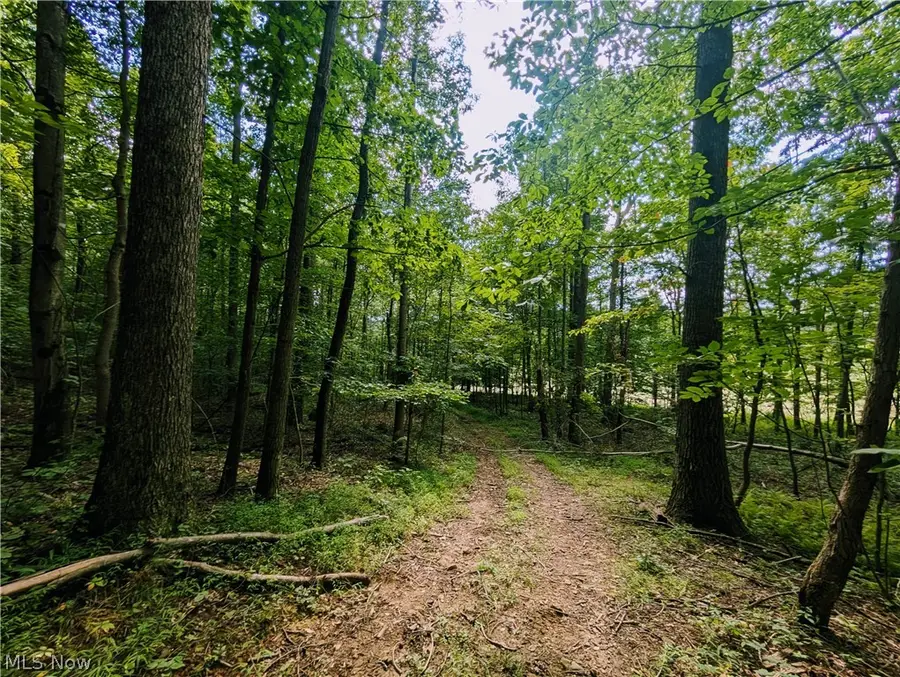 County Road 33, Warsaw, OH 43844 - #3