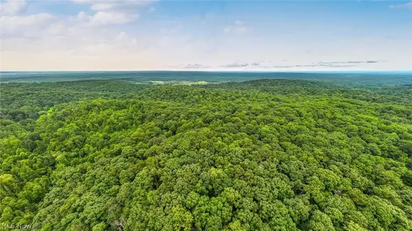0 Bald Knob Stiversville Road, Portland, OH 45770