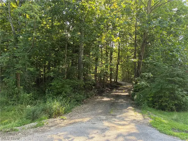 11500 Foxhaven Drive, Chesterland, OH 44026