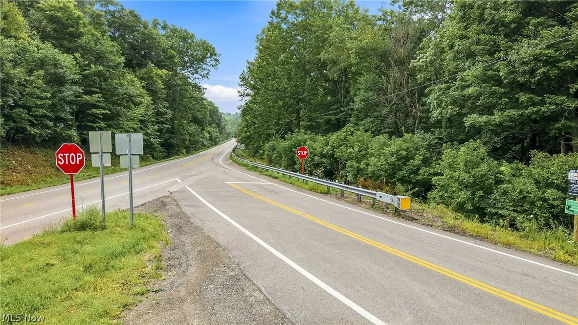 State Route 39, Salineville, OH 43945 - #1