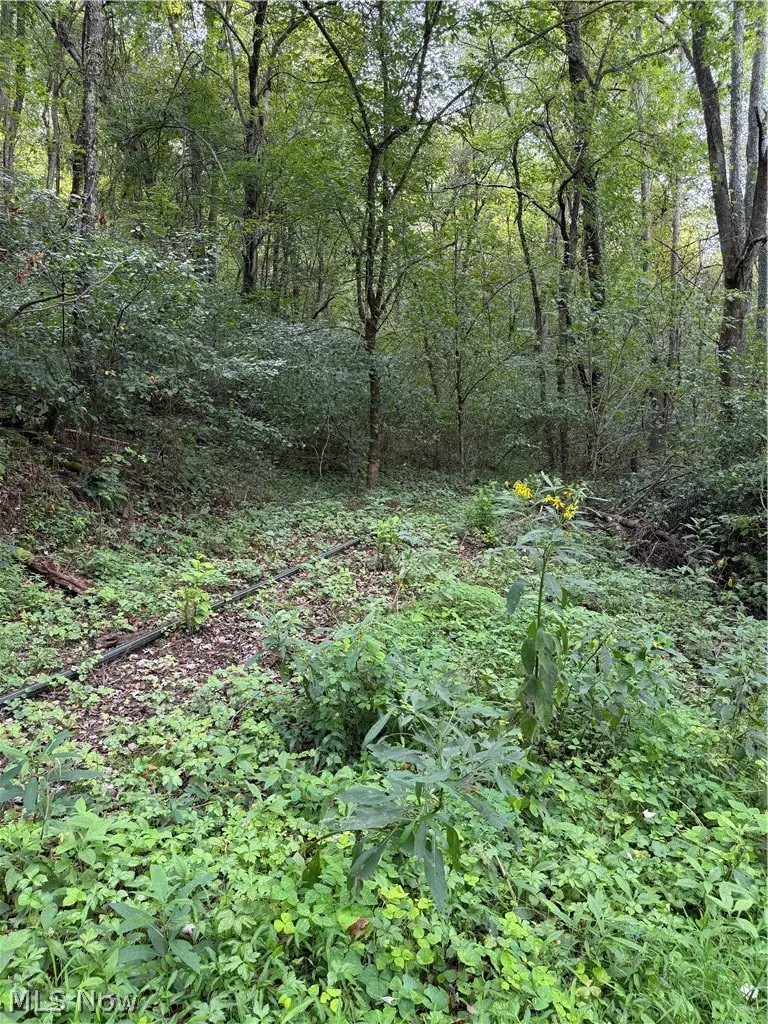 Sr 145, Lower Salem, OH 45745 - #2