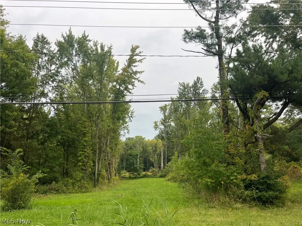 Royalton Road #045, Columbia Station, OH 44028 - #1