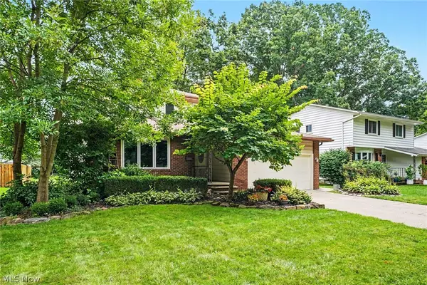6557 Duneden Avenue, Solon, OH 44139