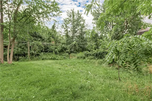 871 E 131 Street, Cleveland, OH 44108