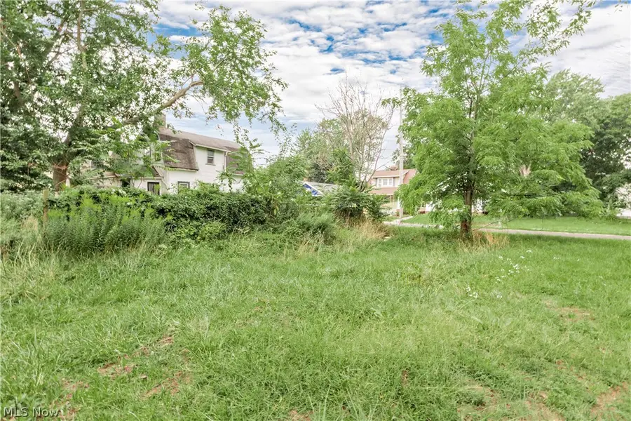 871 E 131 Street, Cleveland, OH 44108 - #2