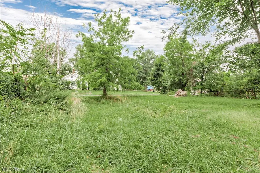 871 E 131 Street, Cleveland, OH 44108 - #3