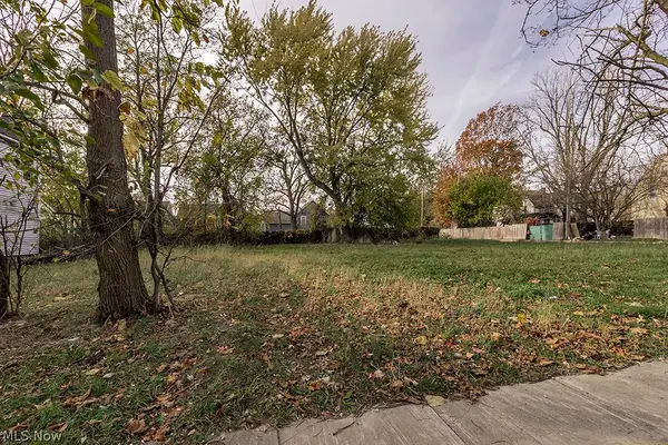 1246 E 102nd Street, Cleveland, OH 44108