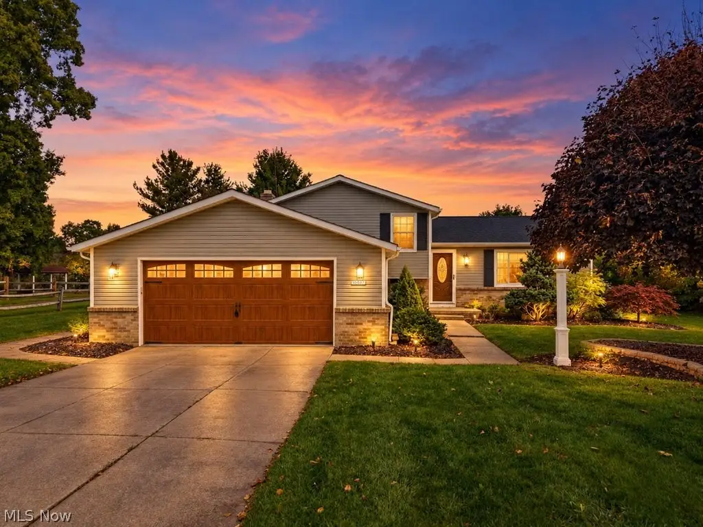 10007 Patton Street, Twinsburg, OH 44087 - #1