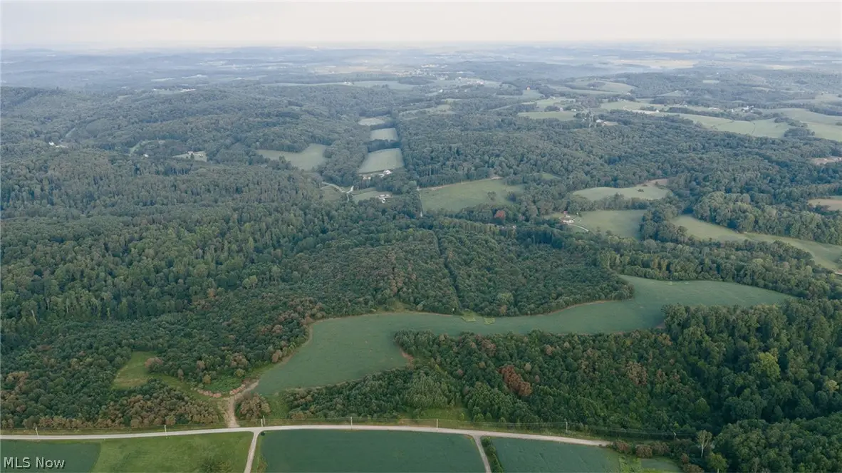Nickel Road, Salineville, OH 43945 - #1