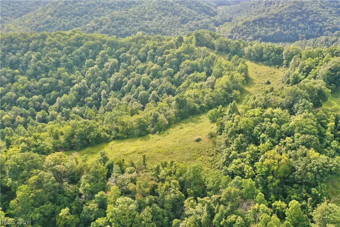 0002 Nicut Run Road, Chloe, WV 26623 - #1