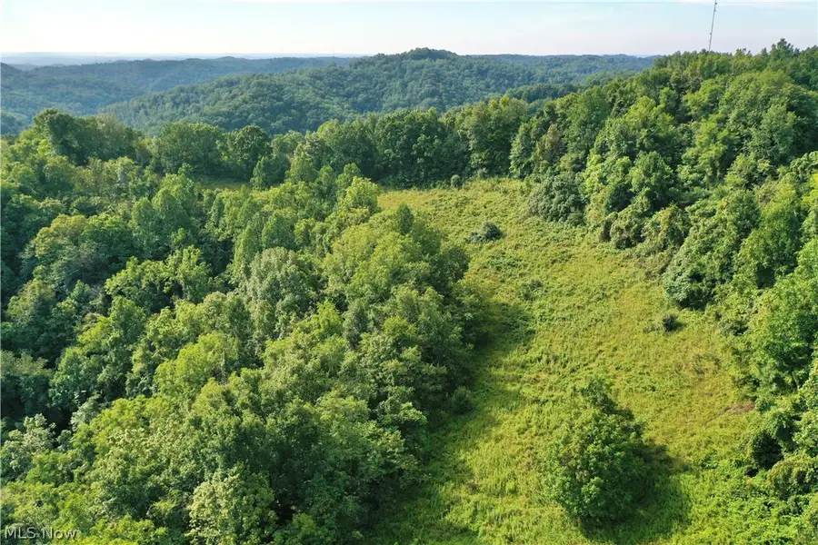 0002 Nicut Run Road, Chloe, WV 26623 - #3
