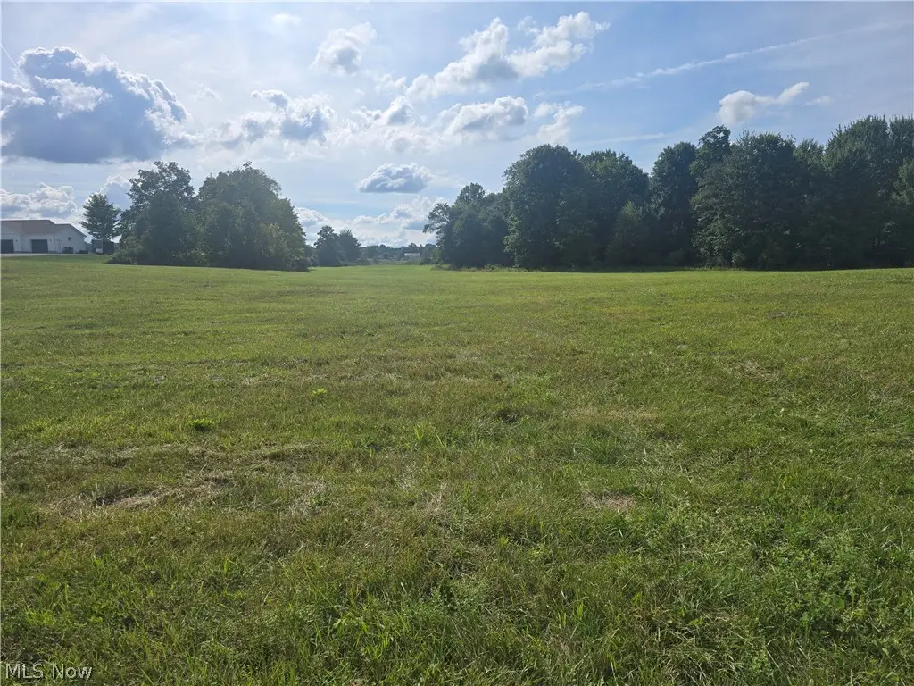 Ballash Road, Medina, OH 44256 - #1