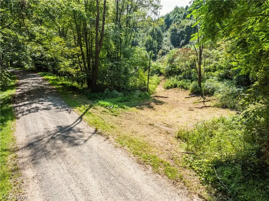 Luneman Road, Scio, OH 43988 - #2