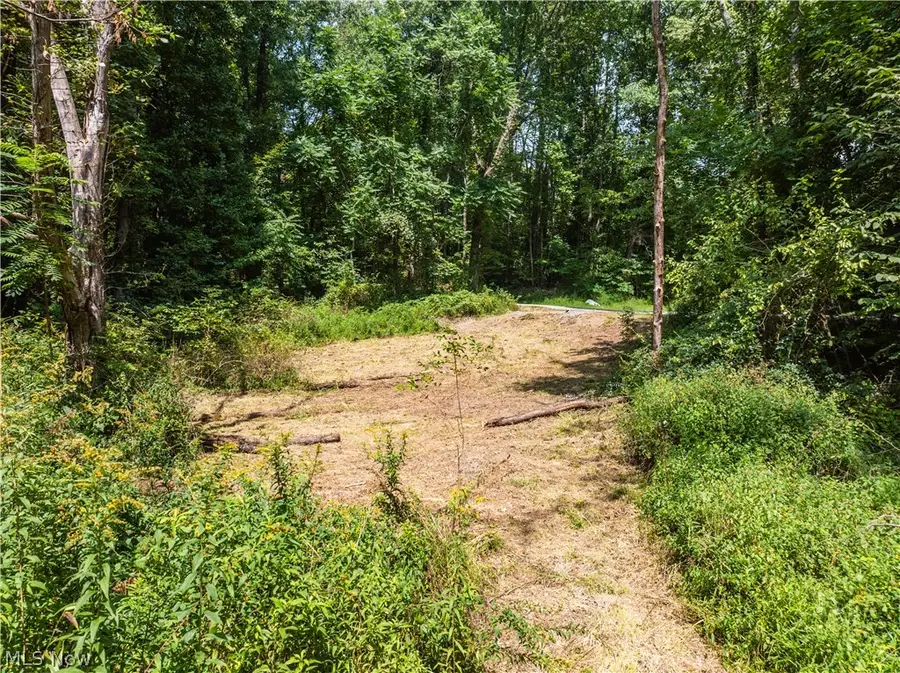 Luneman Road, Scio, OH 43988 - #3