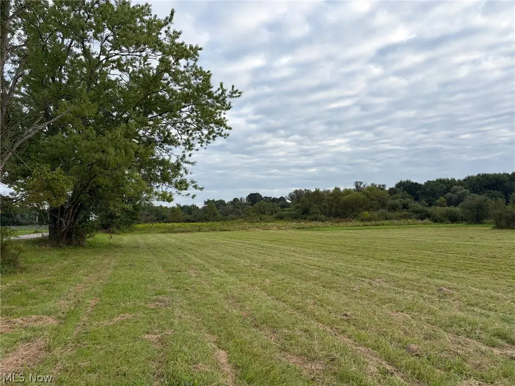 Bassinger Road, North Lima, OH 44452 - #1
