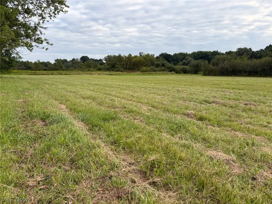 Bassinger Road, North Lima, OH 44452 - #2