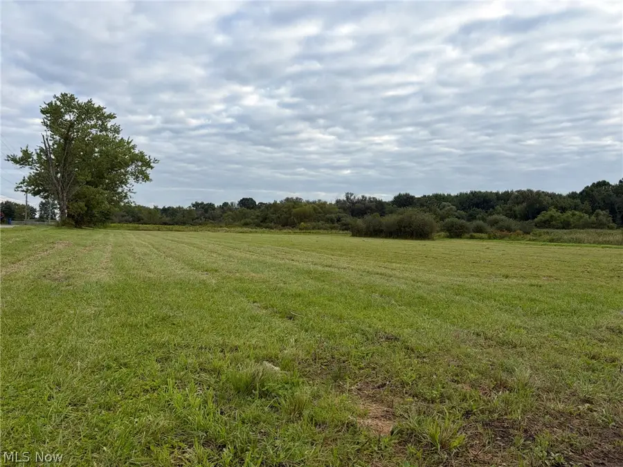 Bassinger Road, North Lima, OH 44452 - #3