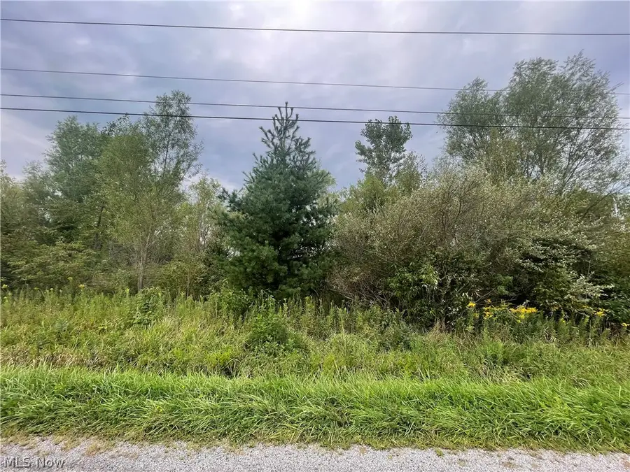 Smith Road, Jefferson, OH 44047 - #2