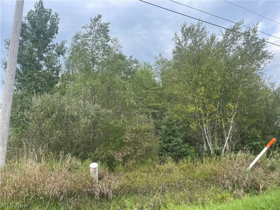 Smith Road, Jefferson, OH 44047 - #3