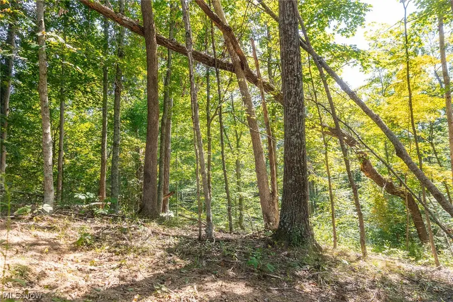 0 4 County Rd 269, Monroe, OH 43730 - #3