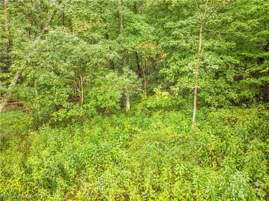 Sr 60, Dresden, OH 43821 - #2