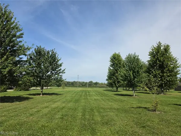 State Route 303 #Lot A, LaGrange, OH 44050