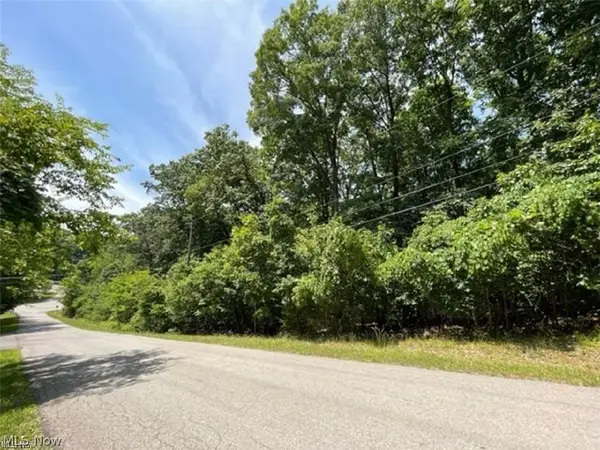 47080 Tomahawk Drive, Negley, OH 44441