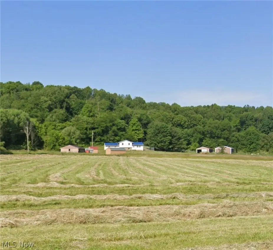 3873 Whitacre Se Avenue, Minerva, OH 44657 - #1