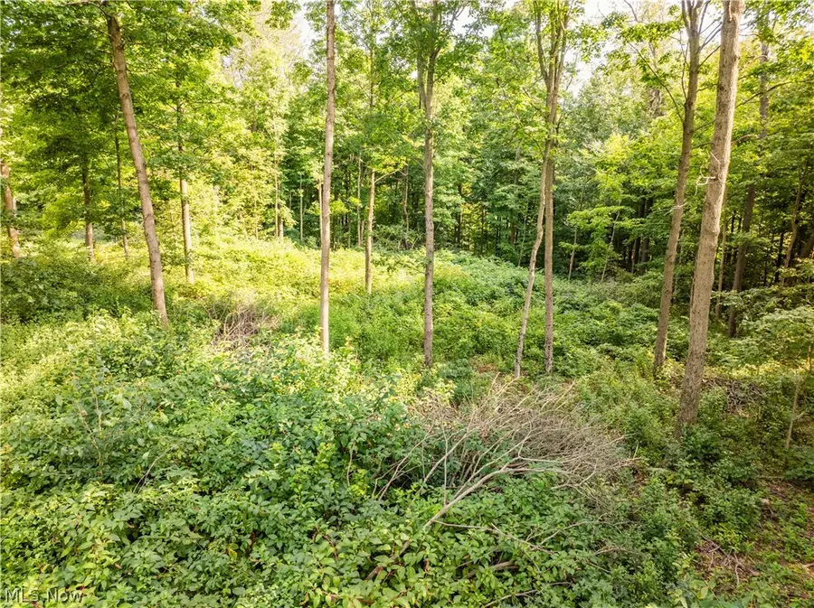 Private Road 3000, Millersburg, OH 44654 - #3