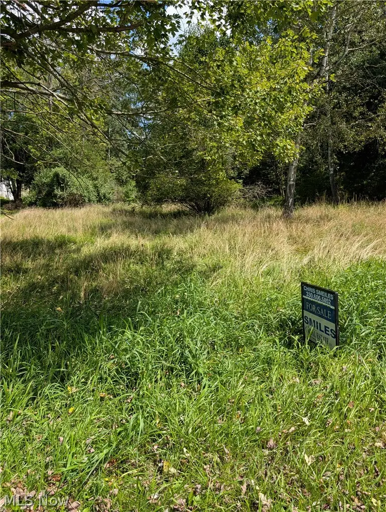 3914 Homestead Road, Ravenna, OH 44266 - #1