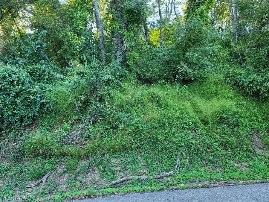 0 Grandview, Rayland, OH 43943 - #2