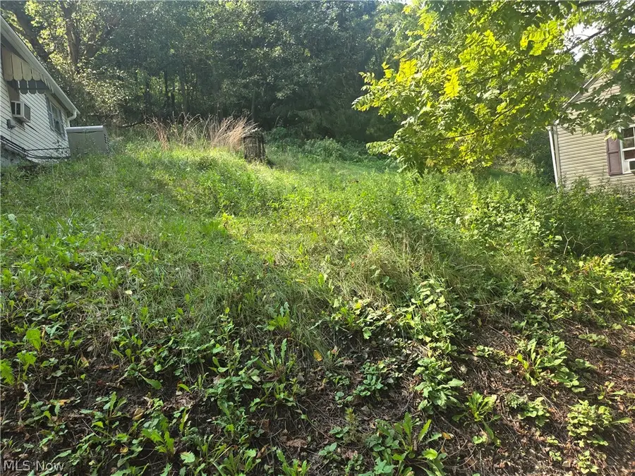 Anne Avenue, Bellaire, OH 43906 - #3