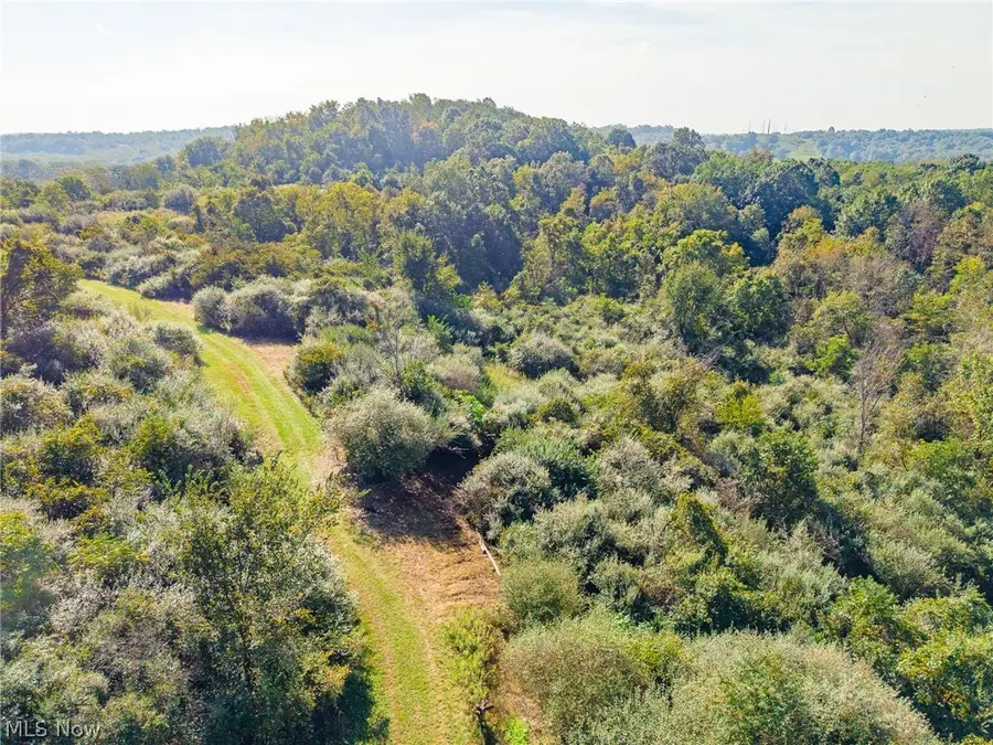 Township Road 269, Cadiz, OH 43907 - #2
