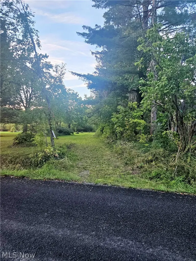 15282 Leroy Road, Thompson, OH 44086 - #1
