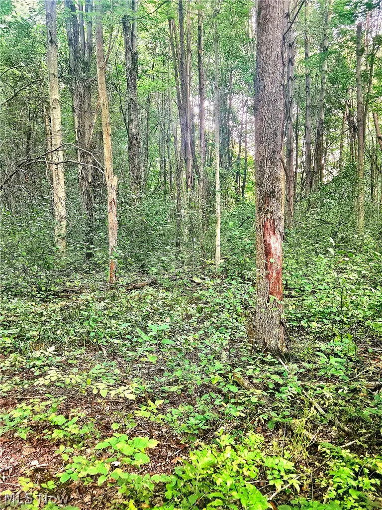 15282 Leroy Road, Thompson, OH 44086 - #3