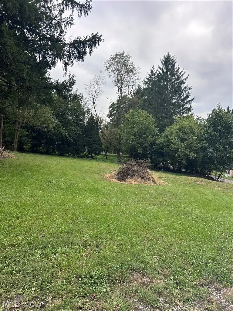 1308 Sunrise Avenue, Zanesville, OH 43701 - #1