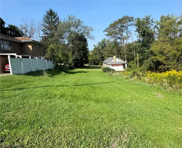 Ellsworth Street, Wintersville, OH 43953