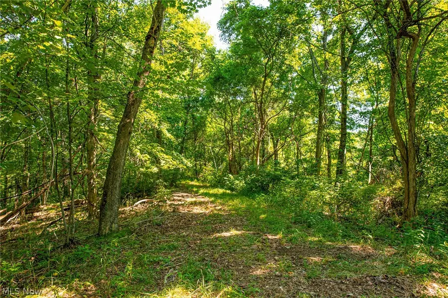 27339 Tabor Ridge Road #1, Caldwell, OH 43724 - #2