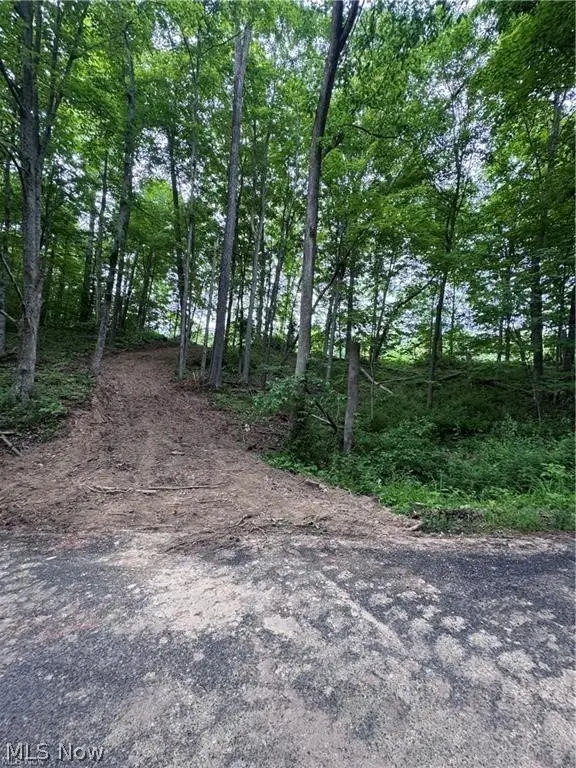 Walker Hill Road #10.530, Stockport, OH 43787 - #2