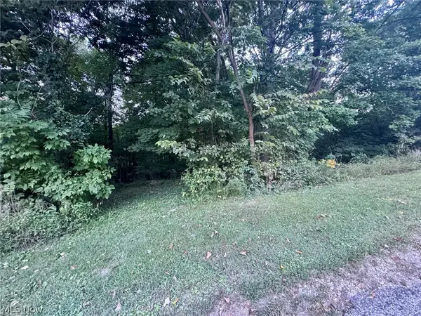 0 Tarkman Drive, Nashport, OH 43830